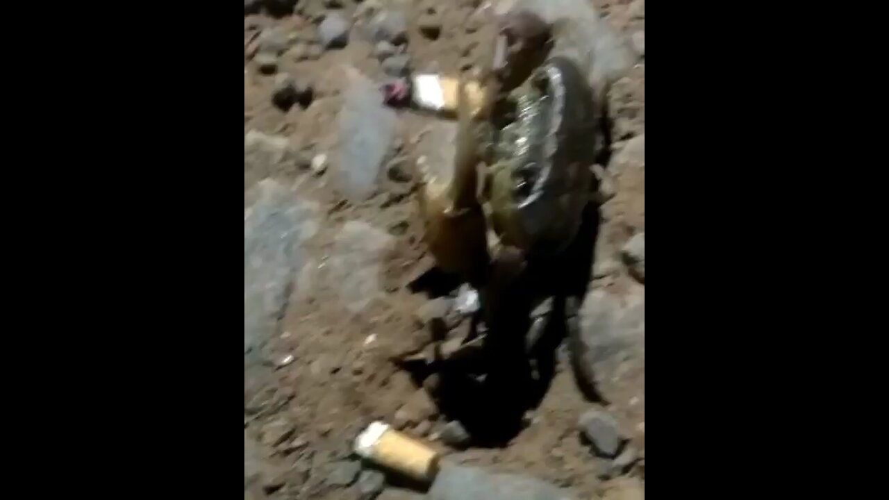 🤣