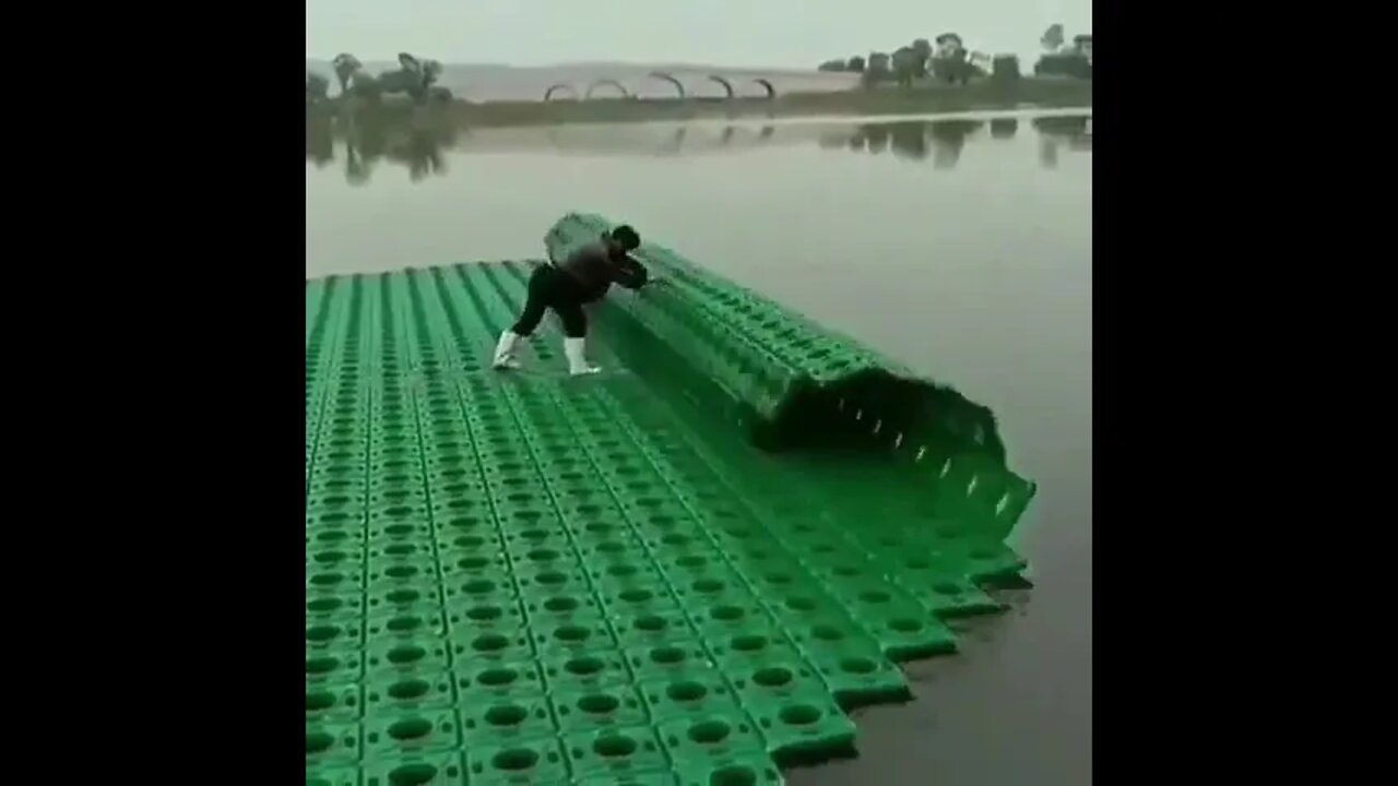 Rolling out the floating rice fields