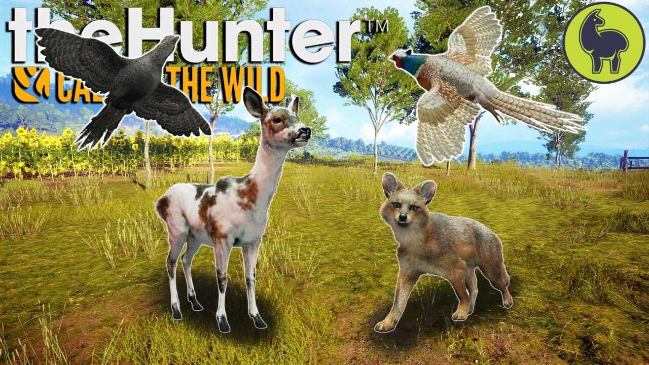 A Rare Sight (mixed edition) Hunt Club Beta | theHunter: Call of the Wild (PS5 4K 60FPS)