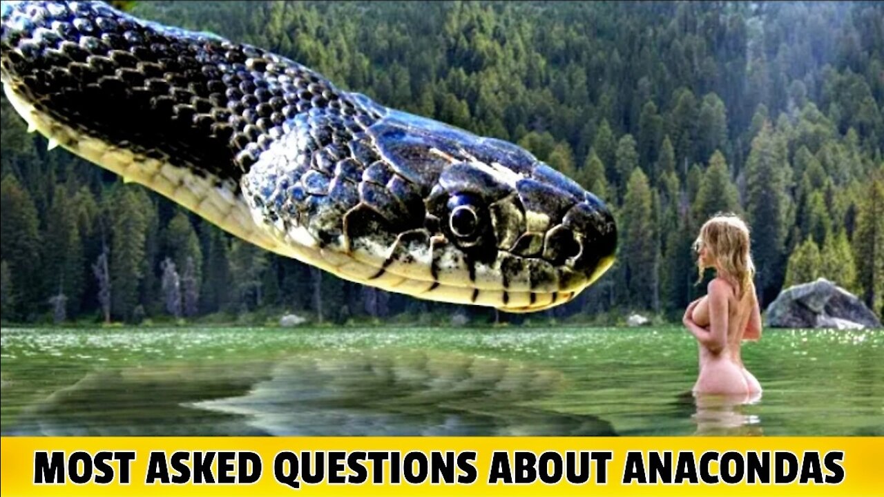 Can An Anaconda Eat A Cow?