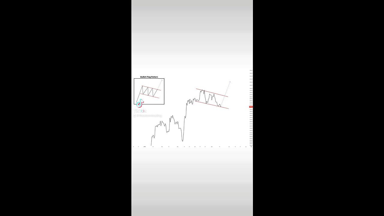 This bullish flag has a target of $34,000. #Bitcoin🚨