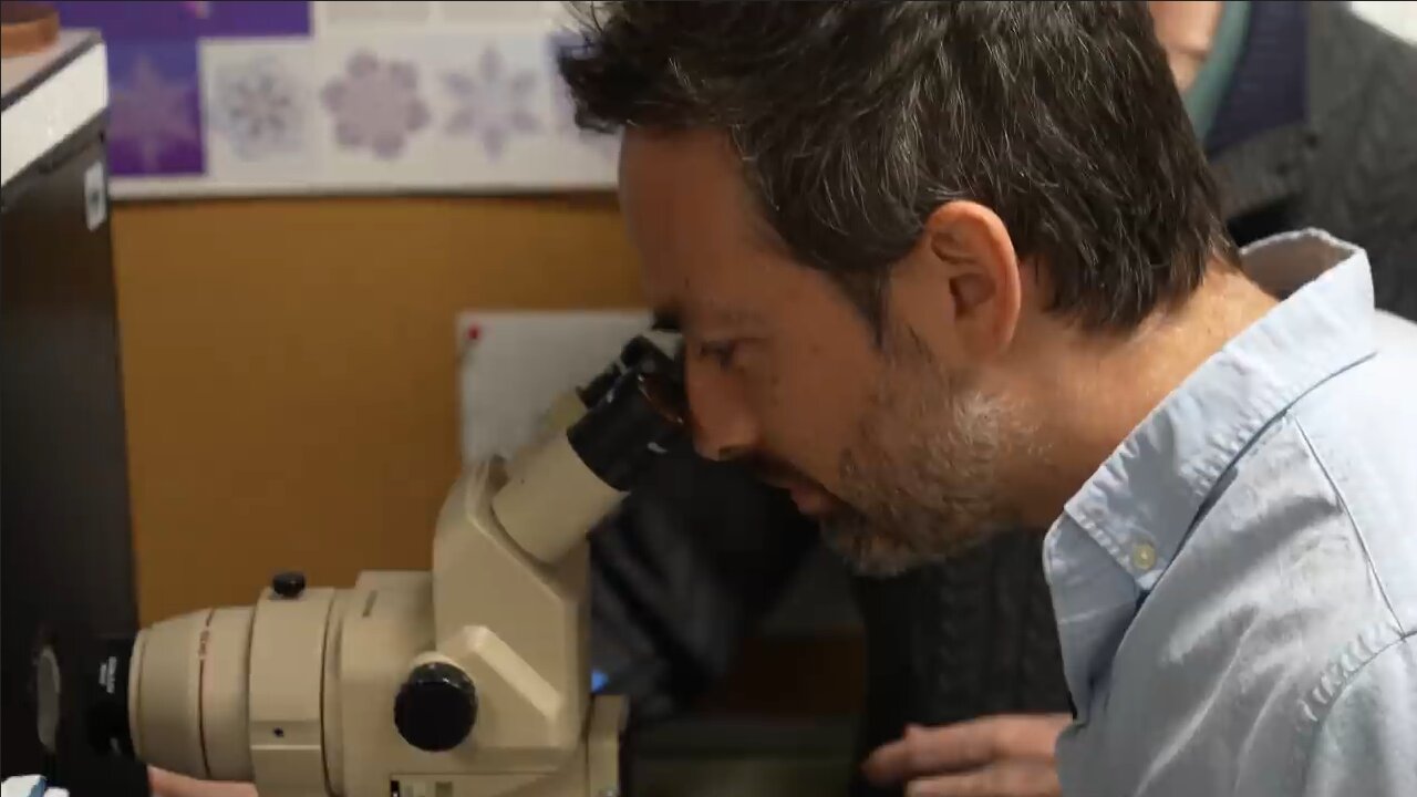 The Snowflake Mystery