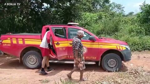 Fortes Chuvas e Alagamentos Provacam a Morte de Muitos Animais | bonja tv