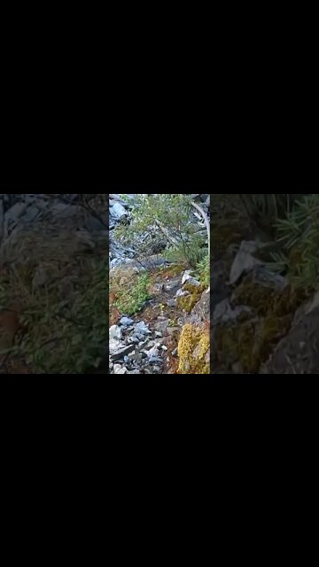 Almost Fell Down Cliff