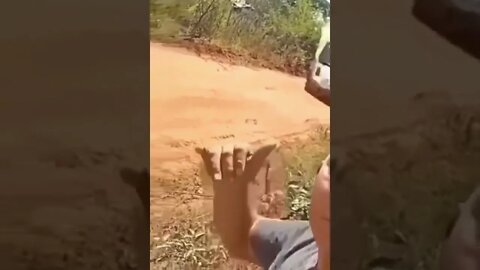 POR FAVOR INSCREVA ME AJUDA - PLEASE SUBSCRIBE HELP ME