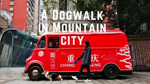 A Dog Walk Vlog in Moutain City – Shancheng Alley