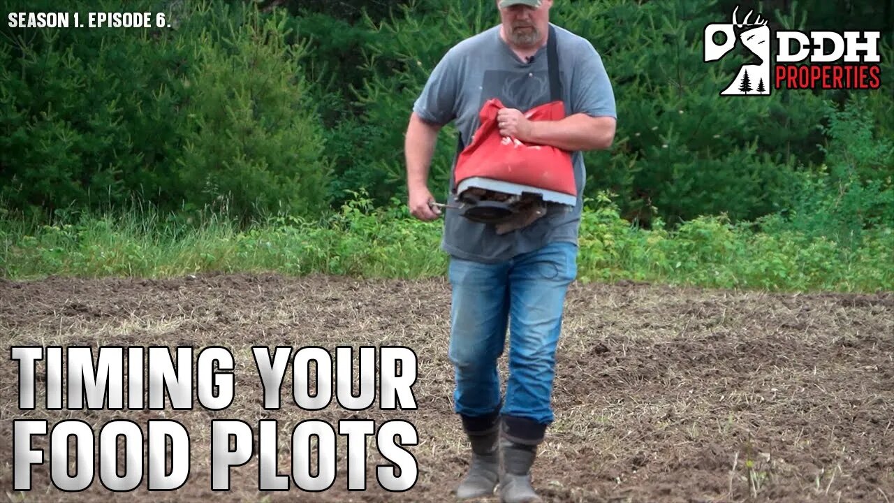 When to Plant a Food Plot | DDH Properties