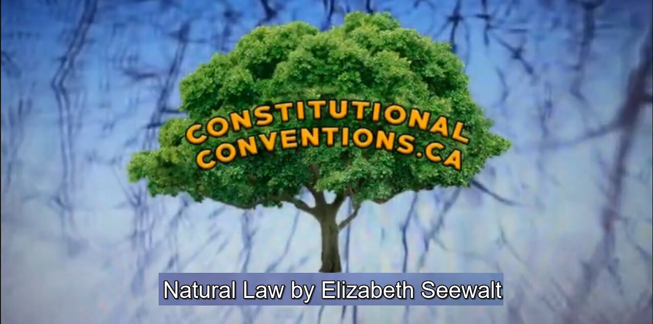 Natural Law by Elizabeth Seewalt