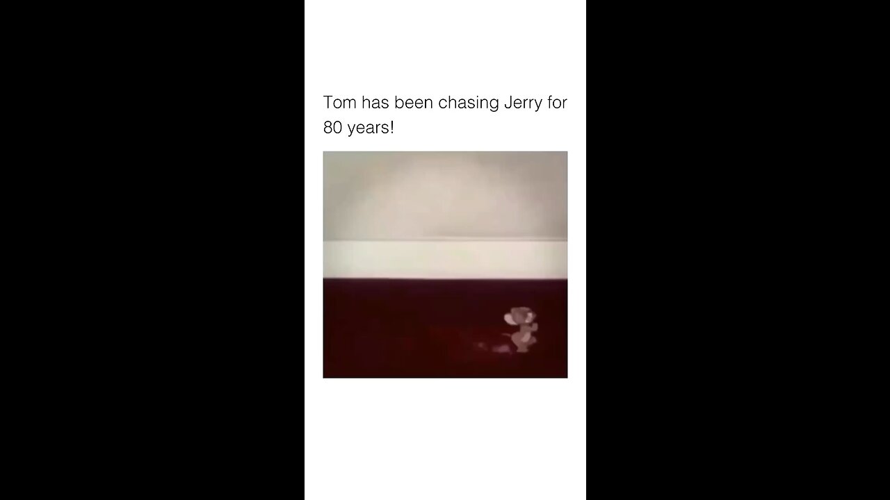 Tom being chasing jerry for eight years