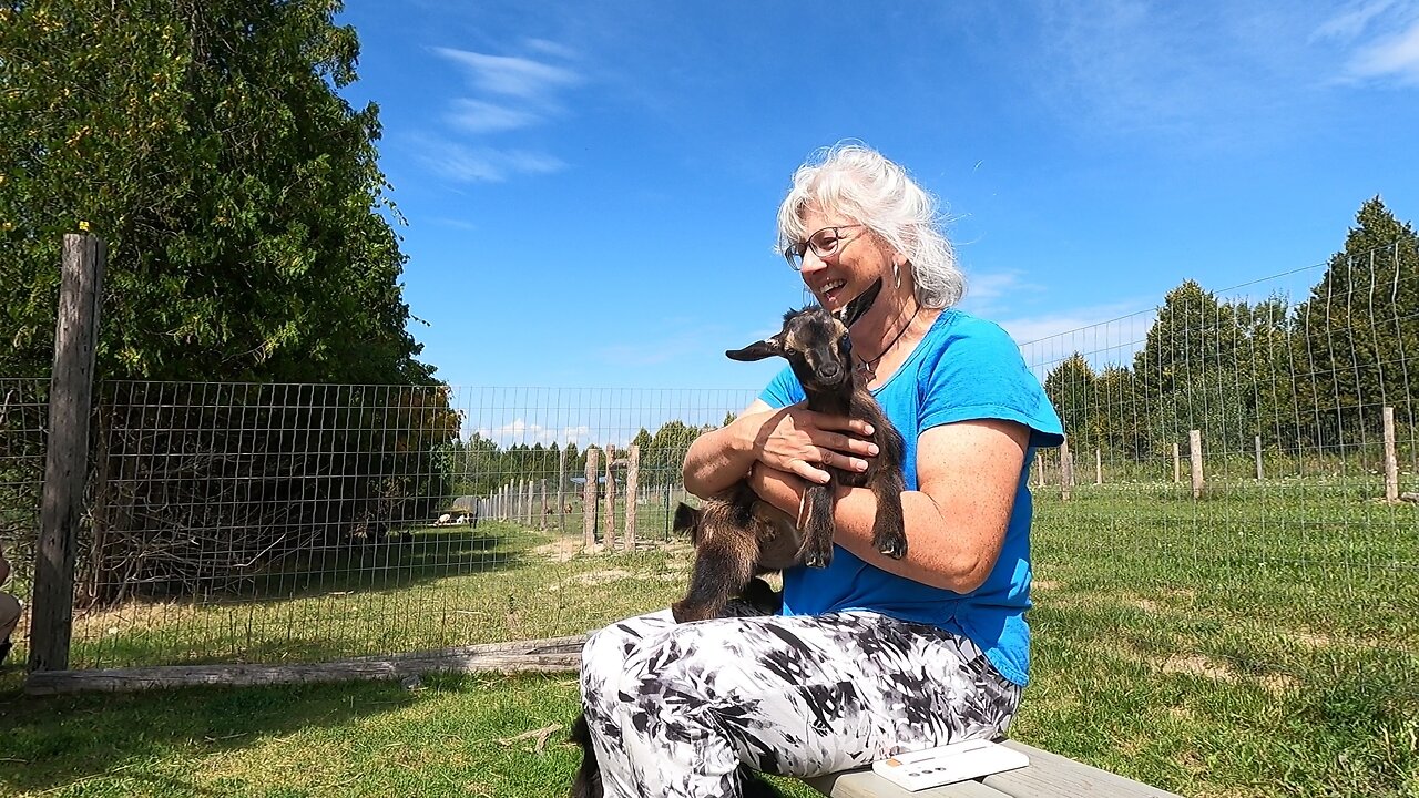 Cuddly Baby Goat Adorably Captures Woman's Heart