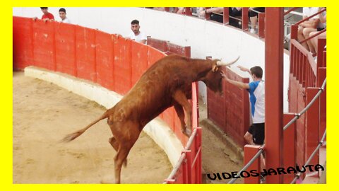 CASCANTE ( NAVARRA ) TARDE VACAS PLAZA ( DOMINGO 22 MAYO 2022 ) ARRIAZU