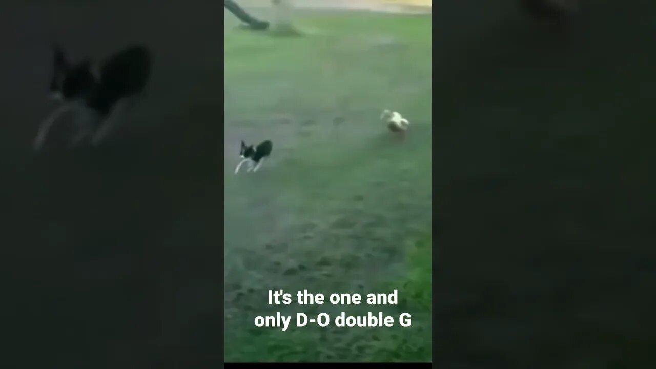 It's the one and only D-O double G #shorts