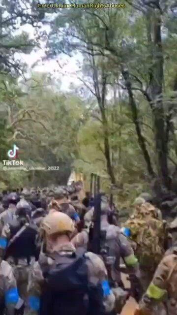 Ukrainian Offensives: How started and how is it going.