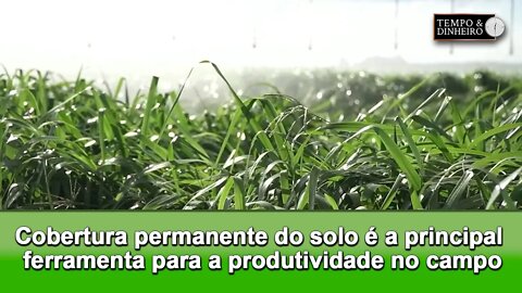 Especialistas apontam a cobertura permanente do solo como principal ferramenta para a produtividade