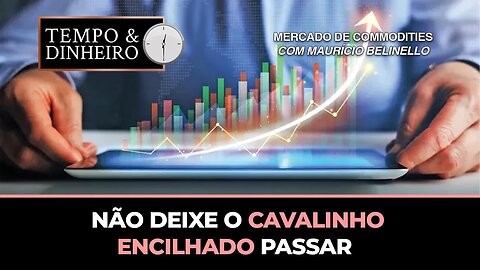 Não deixe o cavalinho encilhado passar