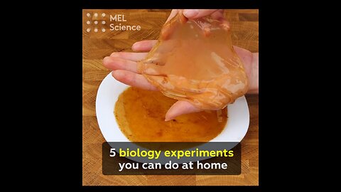 5 biology Experiments at Home 😎🆒