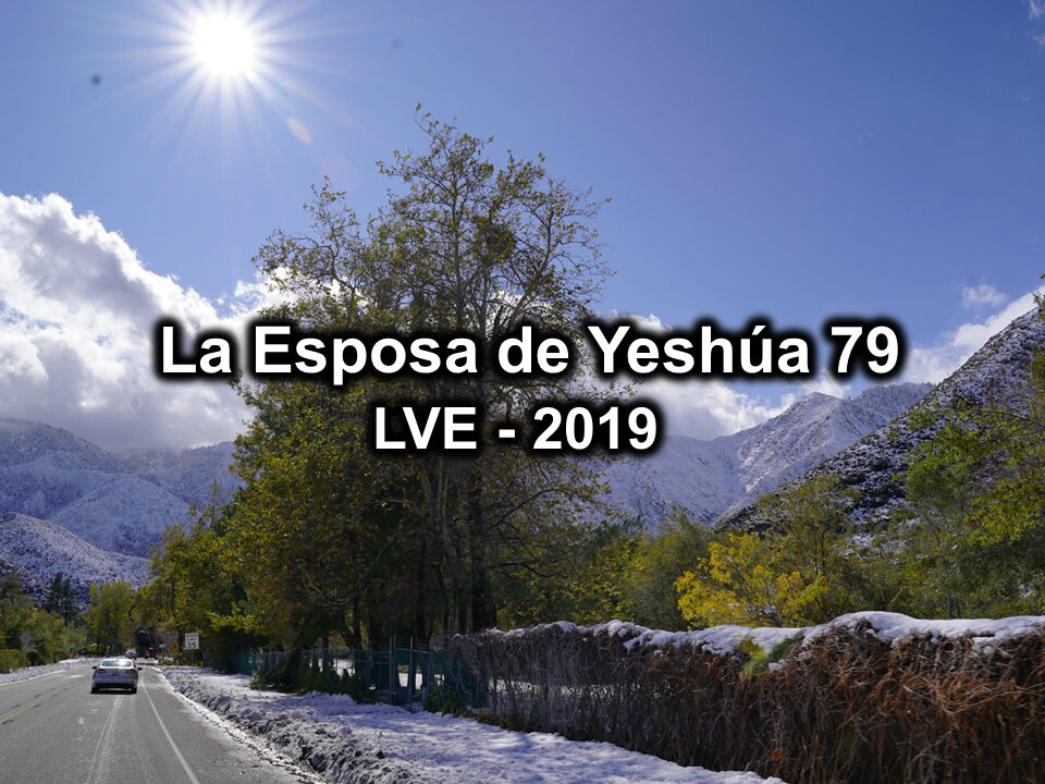 La Esposa de Yeshúa 79 - YHWH Ekjad 58 - Juan 11