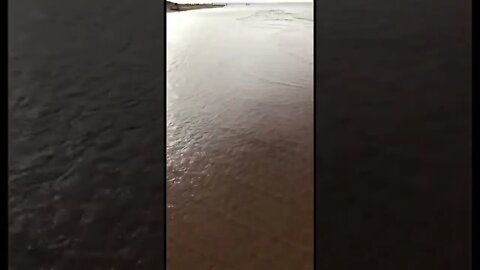 Walking in the water at the beach