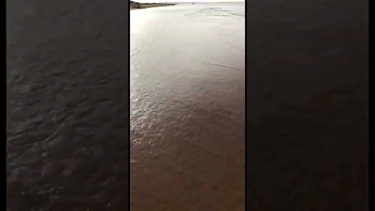 Walking in the water at the beach