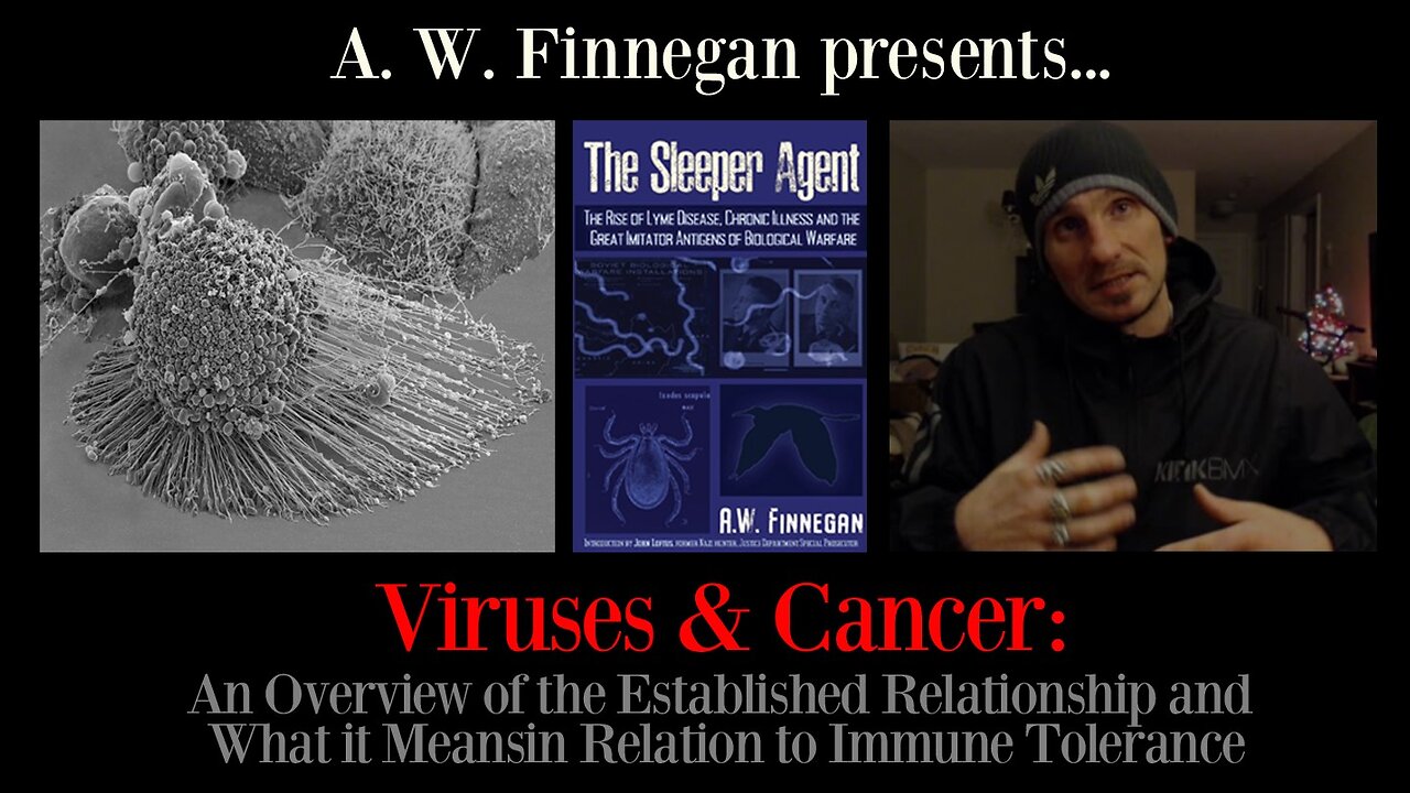 Viruses & Cancer: An Overview of the Established Relationship in Relation to Immune Tolerance