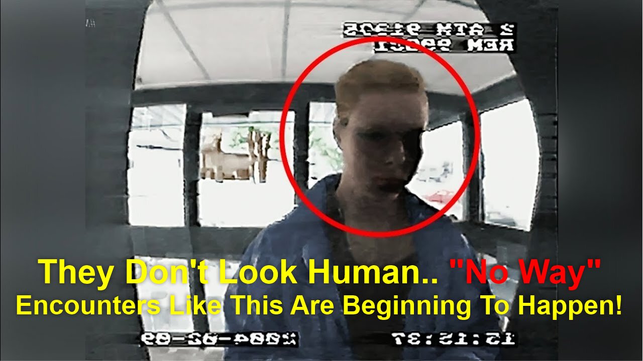 They Don't Look Human.. "No Way" Encounters Like This Are Beginning To Happen! - 11/19/24