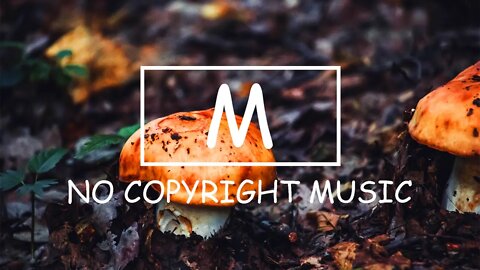 Dizaro X Daloka - Inside Your Eyes（Mm No Copyright Music）