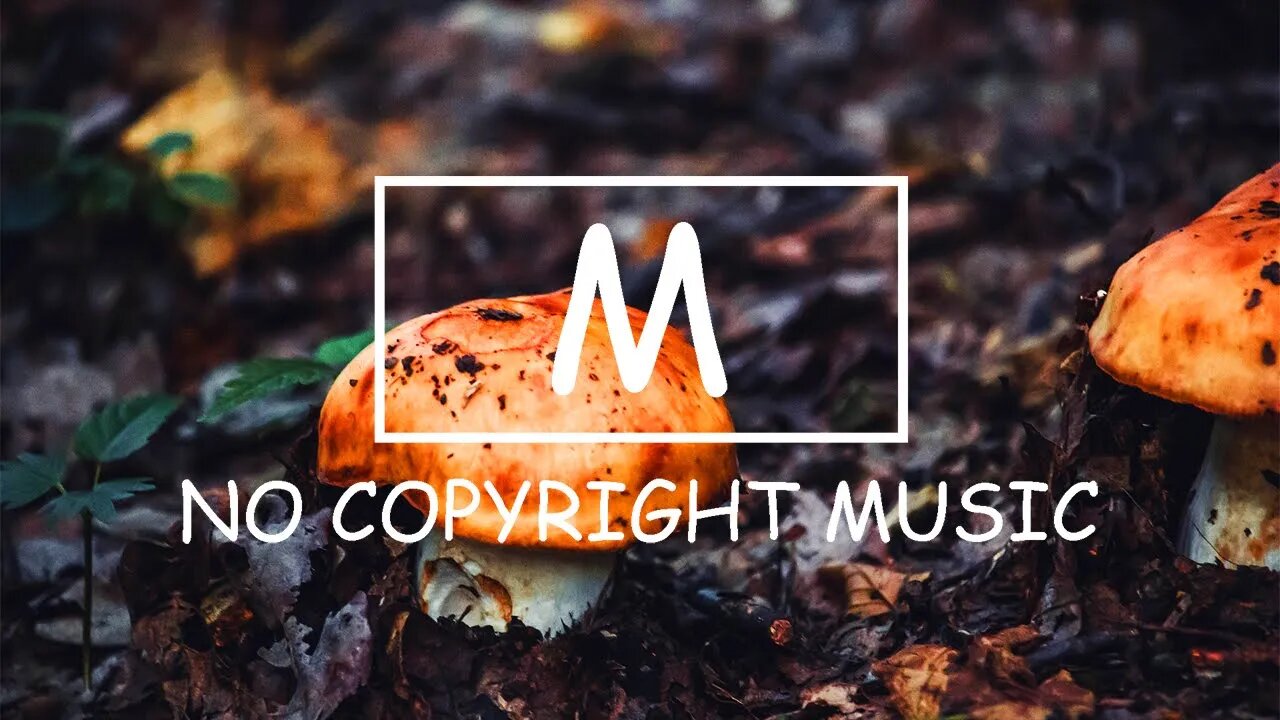 Dizaro X Daloka - Inside Your Eyes（Mm No Copyright Music）