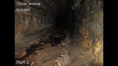 Hiking glow worm tunnel 2