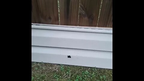 The price you pay for being a Republican in America