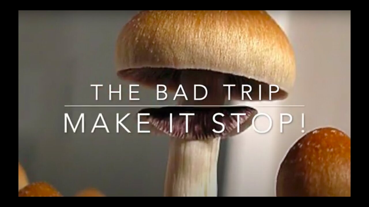 The Bad Trip: Make it Stop!