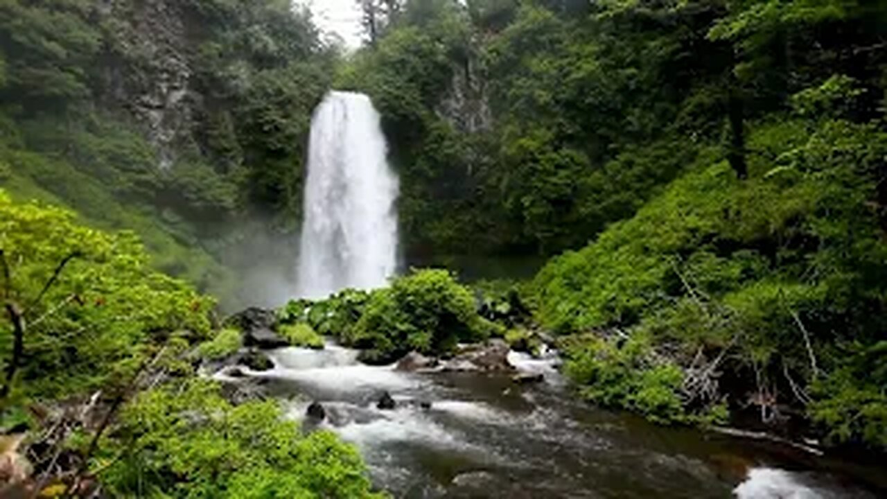 Tranquil Cascades: Serene Waterfalls in the Enchanting Forest