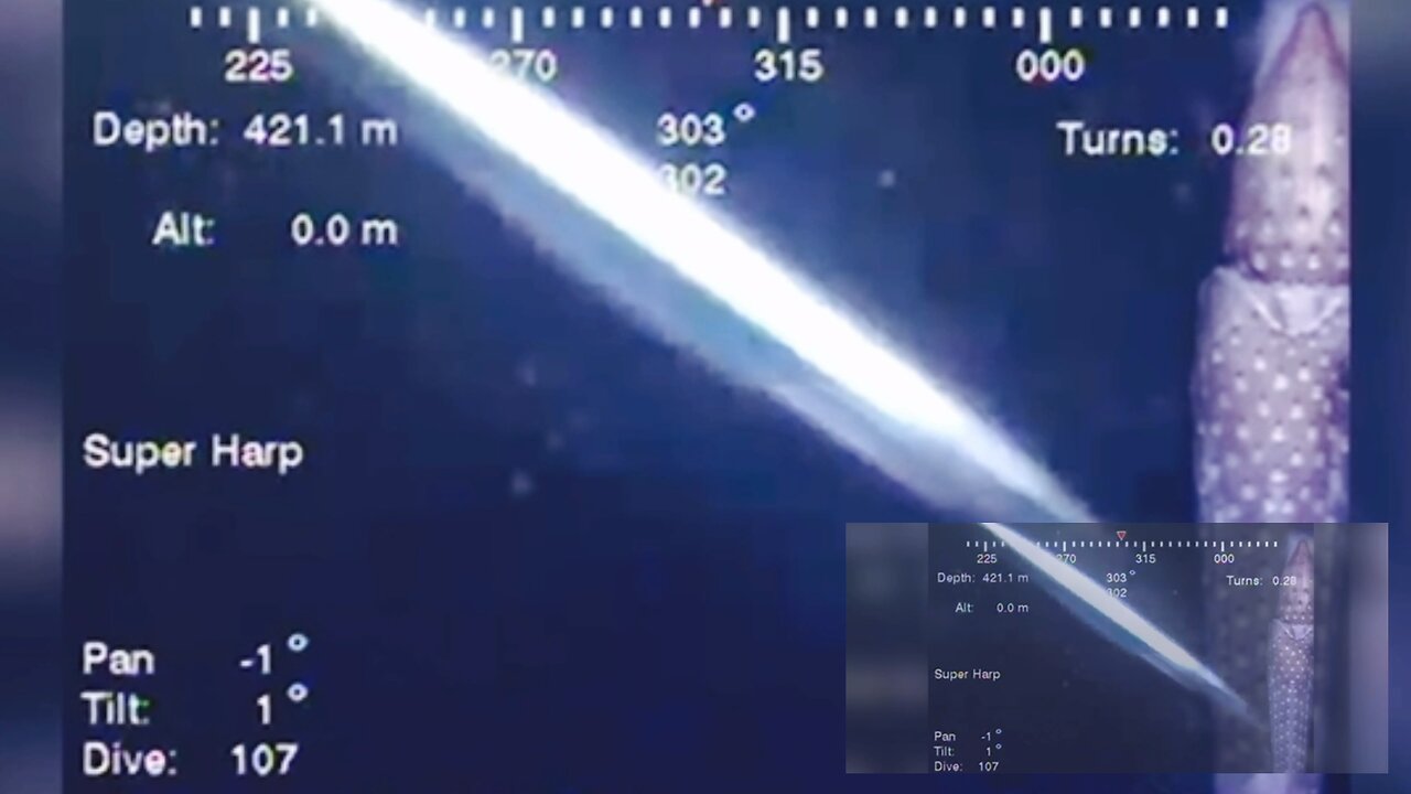 USO captured by Japan research vessel ROV In 2002