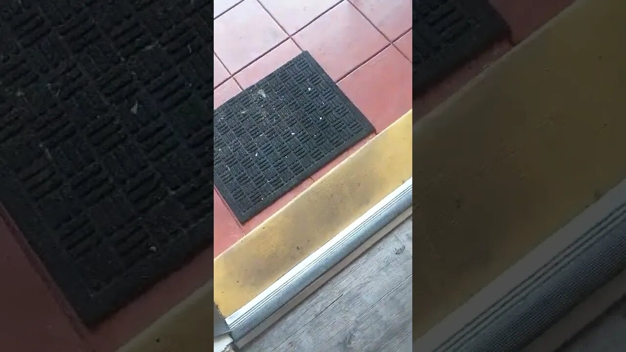 How much more can I take? #noisecampaign #gangstalking