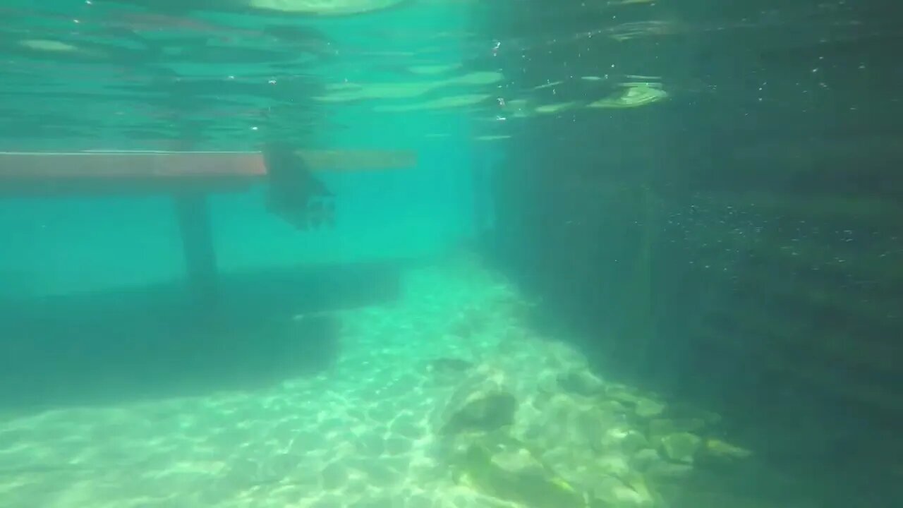 Lake Tahoe Underwater!