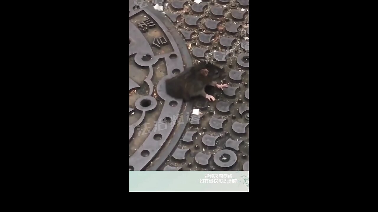 😳😲