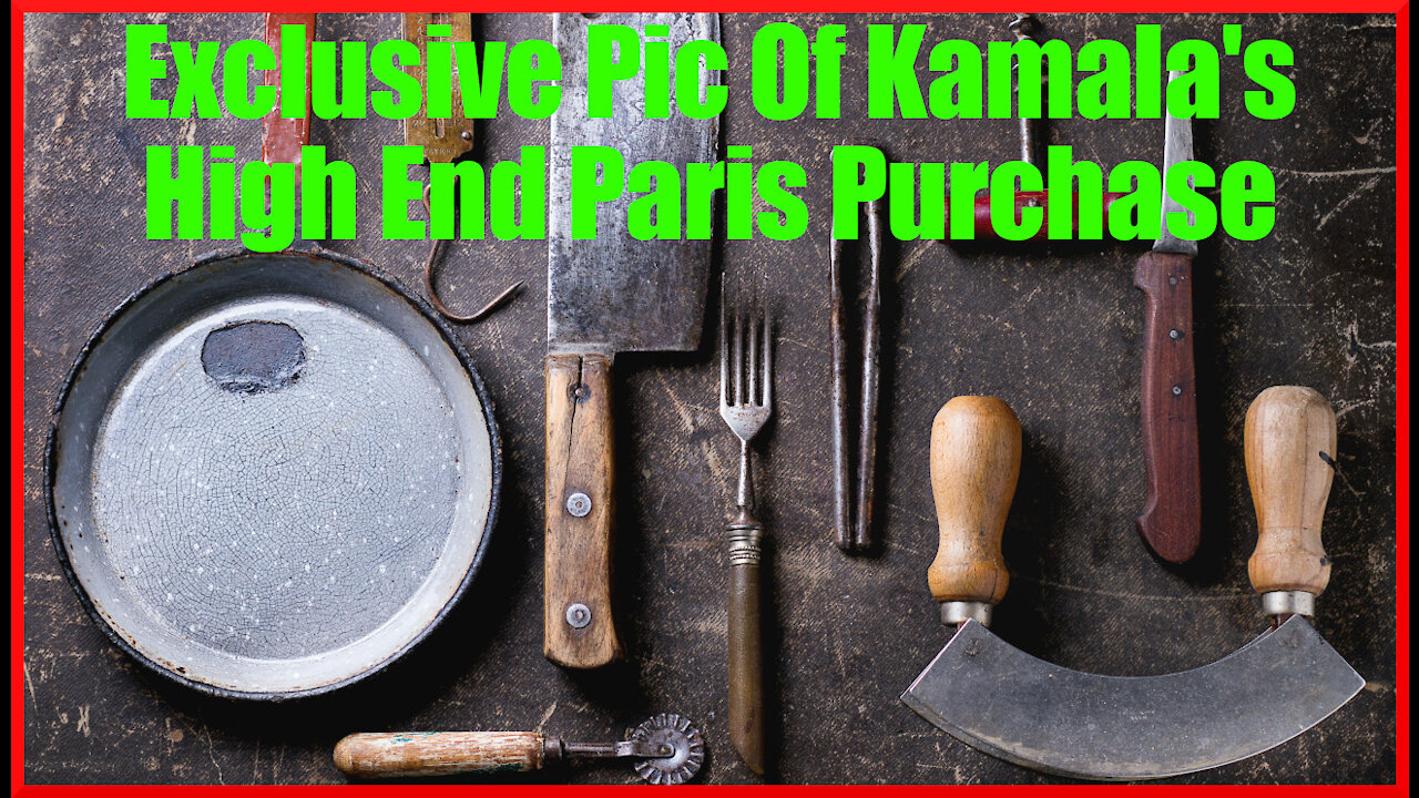 Why Kalama Harris' Paris Purchase Is a Nothingburger