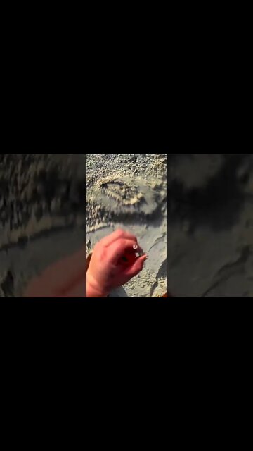 Metal Detecting Florida Beach For Treasure & Silver & Gold Jewelry Equinox Detecting July 21 2022