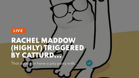 Rachel Maddow (highly) triggered by Catturd…