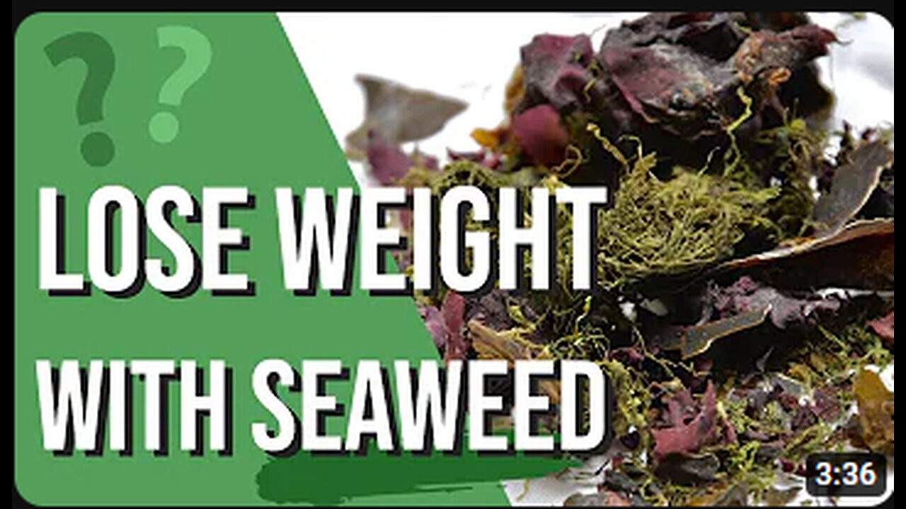 2023 How to lose weight FAST with Seaweed