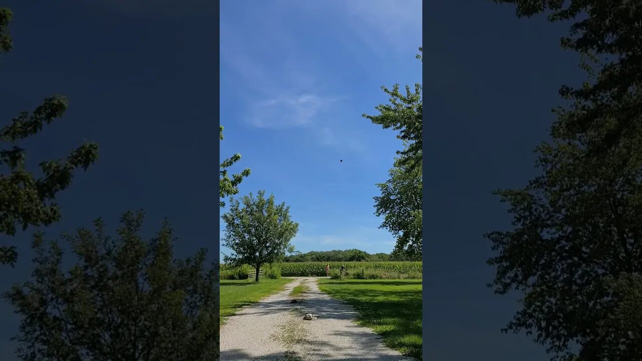 Discus Throw sailing ⛵️ through the air. 61 years old