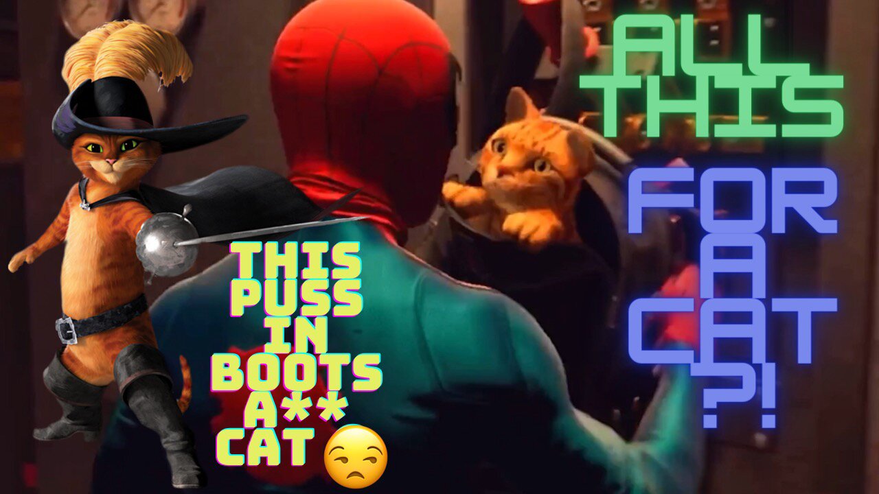 Rescue Spidey Cat ✅ PT1