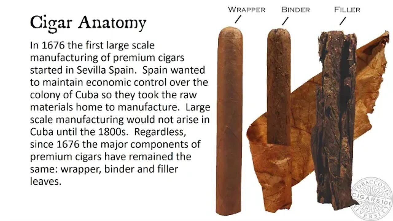 CIGARS 101 Anatomy and Vitolas