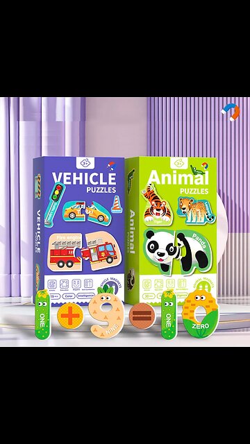 ANNUAL SALE! Magnetic Cognitive Matching Puzzle