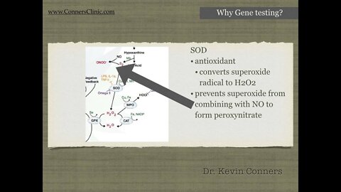 SOD and your GENES | Dr. Kevin Conners - Conners Clinic