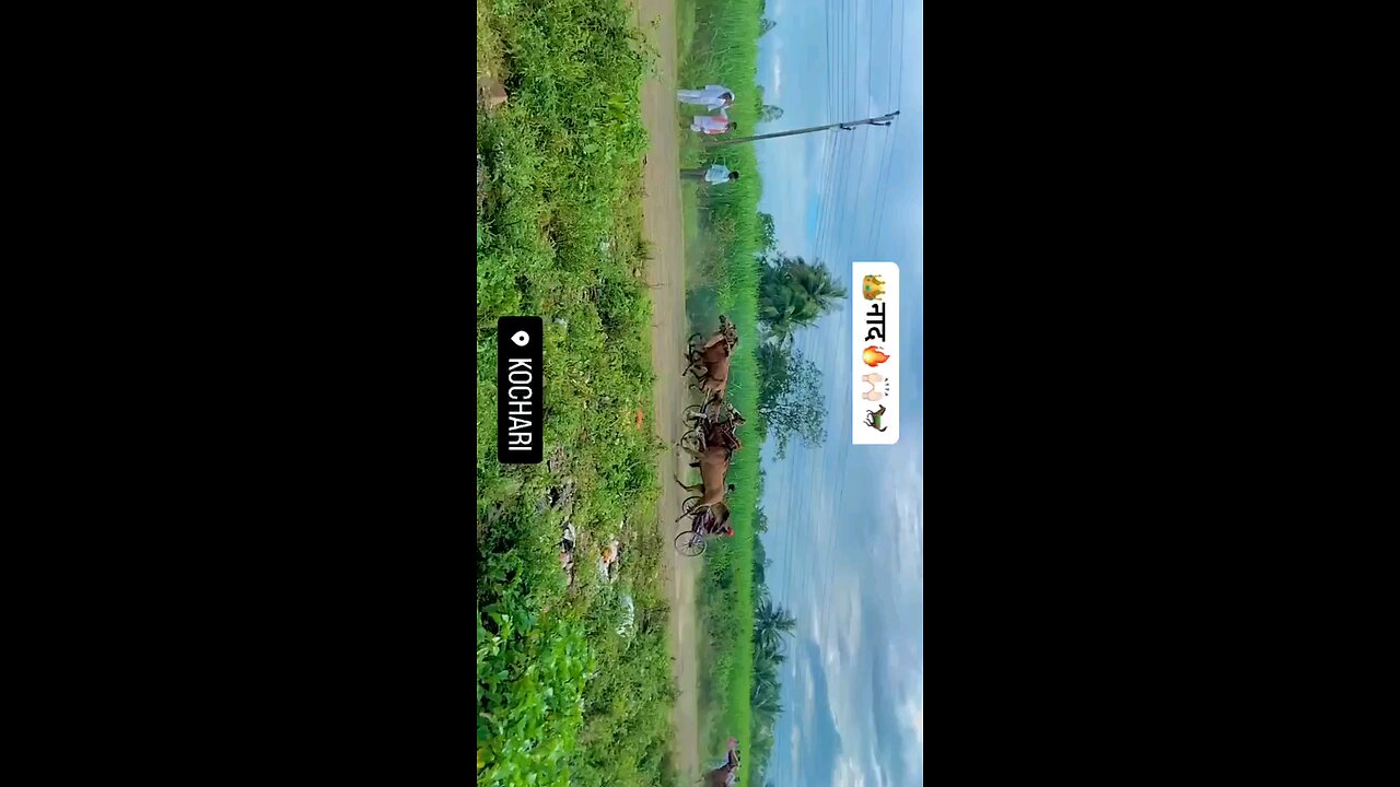 My village