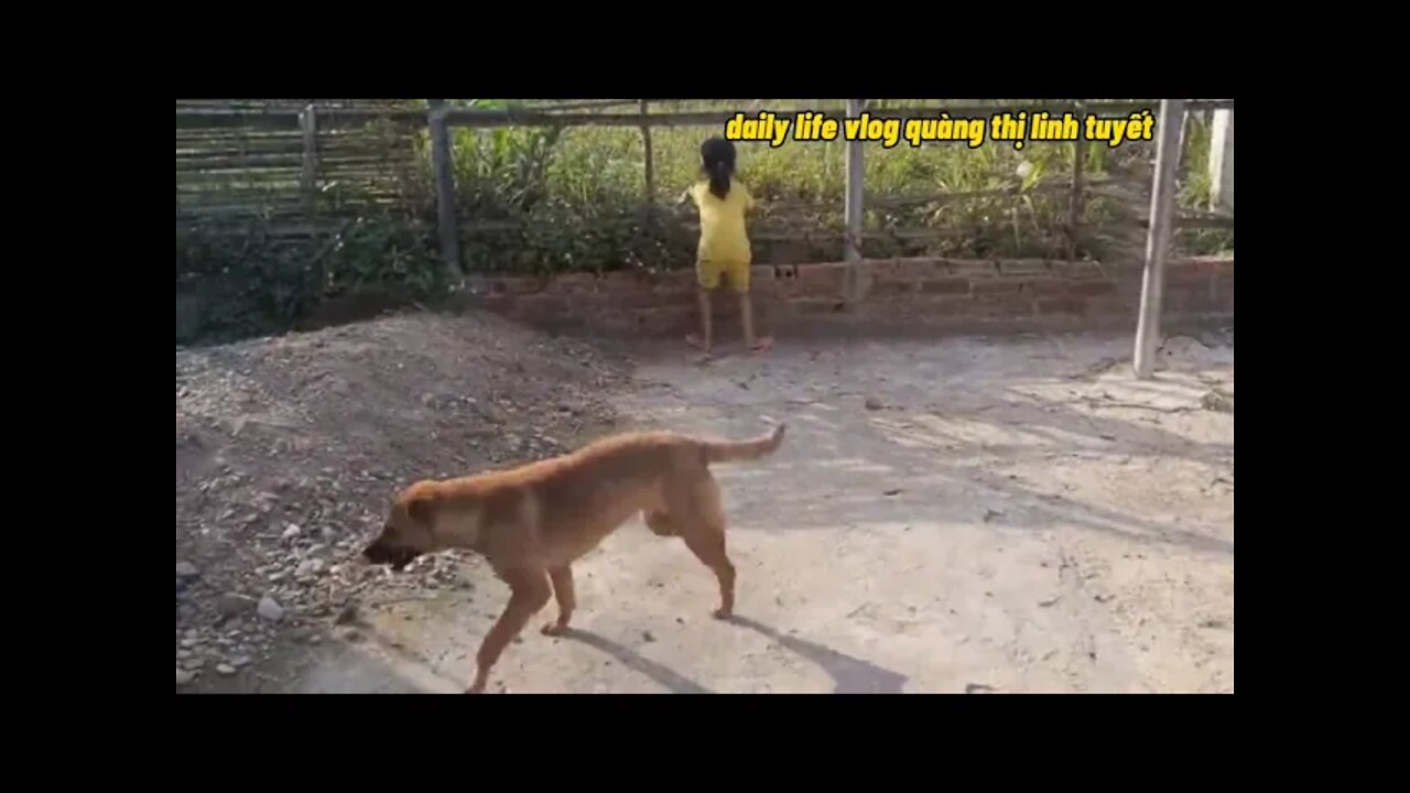 little girl and dog playing together | daily life vlog