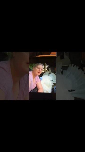 A clip from an old video￼