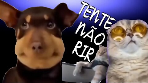 TENTE NÃO RIR 😂 - MELHORES DUBLAGENS