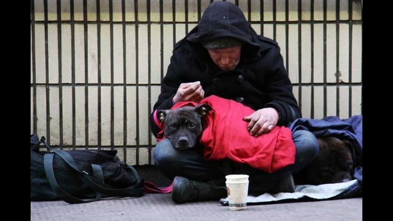 Homeless Veterans & Their Dogs Are On The Streets This Season - This Man Is Going To Them