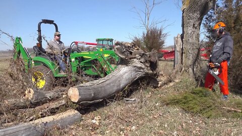 Farm Clean Up! Deere 2038R, Case 580 Backhoe, Stihl Chainsaws